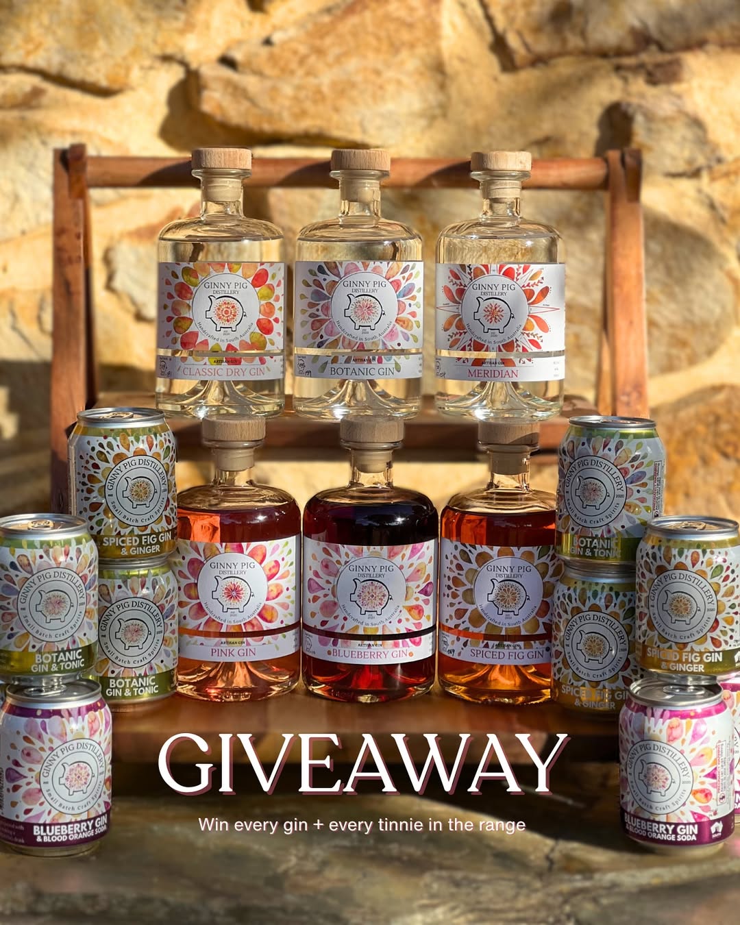 Ginny Pig Turns 5 – and We’re Giving Away $500 Worth of Ginny Goodness!