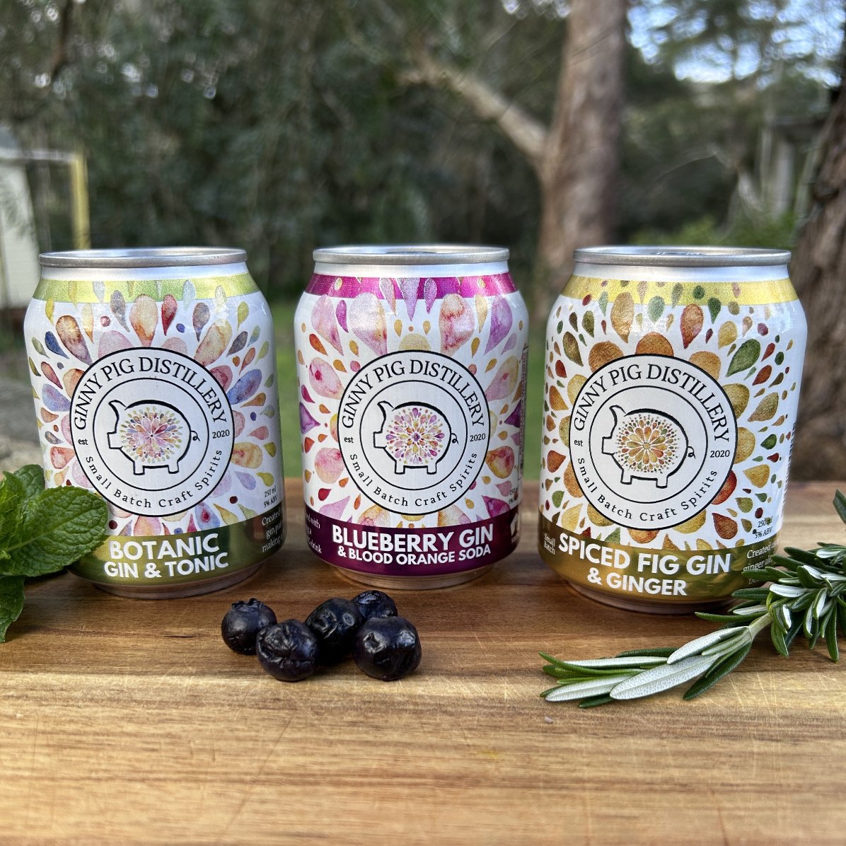 3 Cans of Ready to drink Ginny Pig  gin Cans