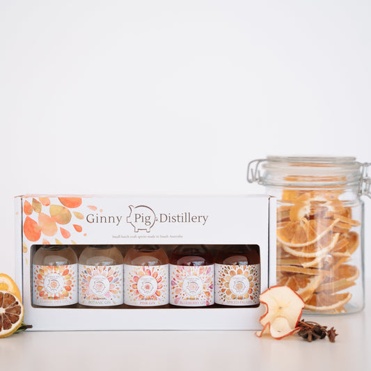 Ginny Pig sample box -  includes x5 50 ml bottles of gin