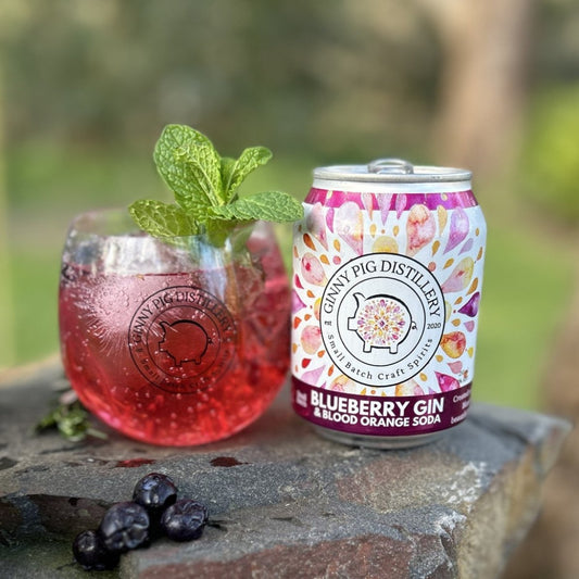 Blueberry Gin and soda can with a glass of gin